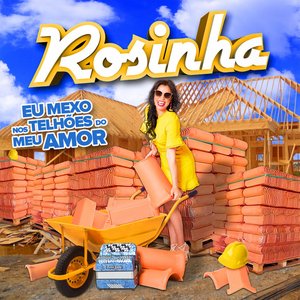 Image for 'Eu Mexo nos Telhões do Meu Amor'