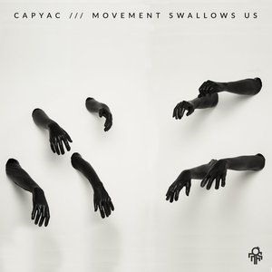 Image for 'Movement Swallows Us'