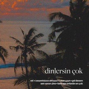 Image for 'dinlersin çok'