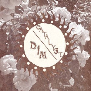 'Dim / Catalyst Split'の画像