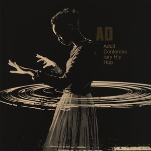 “Adult Contemporary Hip Hop”的封面