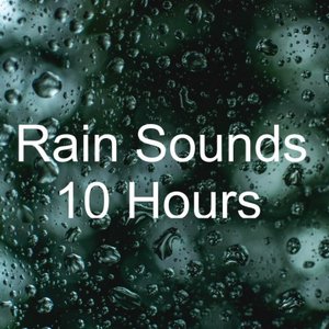 Bild för 'Rain Sounds 10 Hours'