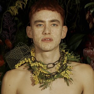 Image for 'Palo Santo (Deluxe)'