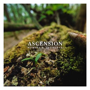 Imagem de 'Ascension'