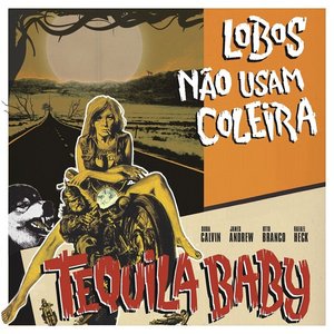 Image for 'Lobos não usam coleira'