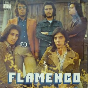 “Flamenco”的封面