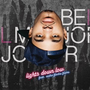 Image pour 'Lights Down Low (feat. Waka Flocka Flame)'
