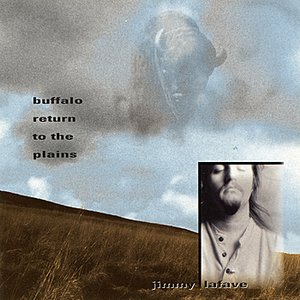 “Buffalo Return to the Plains”的封面