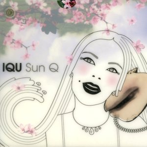 Image for 'Sun Q'