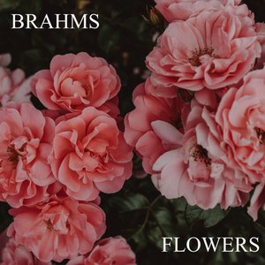 Image for 'Brahms: Flowers'