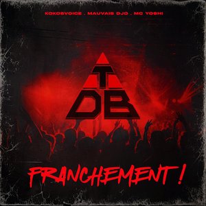 “Franchement !”的封面