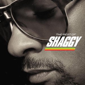 Image for 'The Best Of Shaggy'