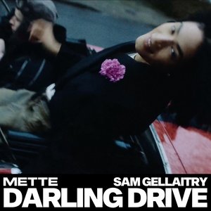Image for 'DARLING DRIVE - Single'