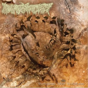 Image for 'Vertebrae After Vertebrae'