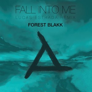 Image pour 'Fall Into Me (Lucas Estrada Remix)'