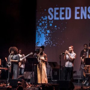 Immagine per 'Cassie Kinoshi's seed'