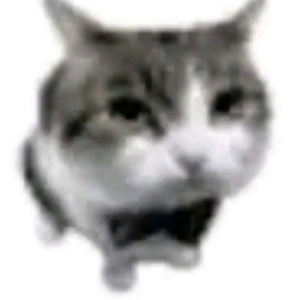 franciscojoj