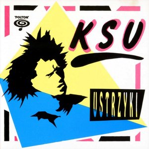 “Ustrzyki”的封面