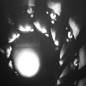 Image for 'Pierwszy / Prześwit'