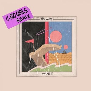 Image for 'I Want It (1-800 GIRLS Remix)'