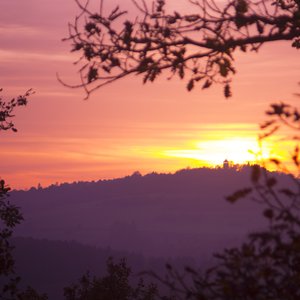 'Ambi Nature Sounds' için resim