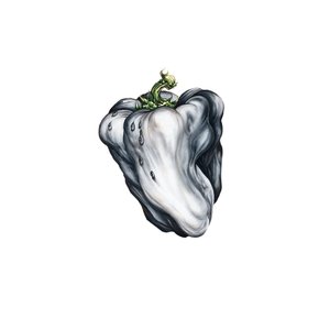 Imagen de 'White Pepper'