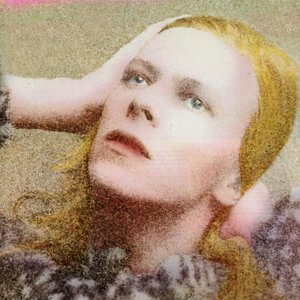 Image for 'Honky Dory'