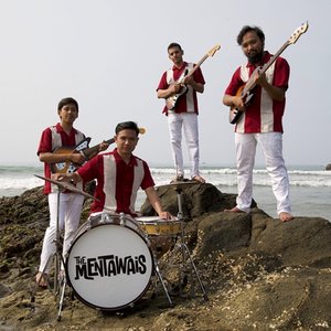 Image for 'The Mentawais'