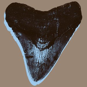 Image for 'Shark Teeth'