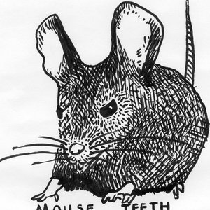 Image for 'mouse teeth'