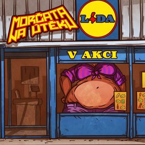 Immagine per 'Lída v akci'