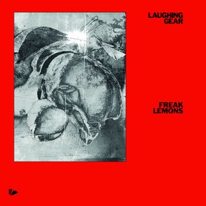 Image for 'Freak Lemons'