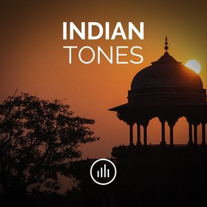 Image for 'Indian Tones'