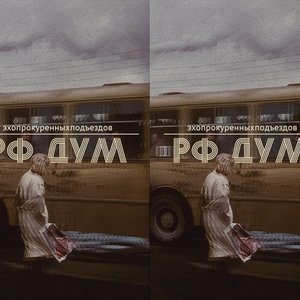 Image for 'рф дум'