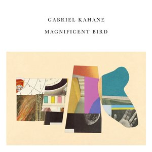 Image for 'MAGNIFICENT BIRD'