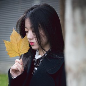 “Shan Yichun”的封面