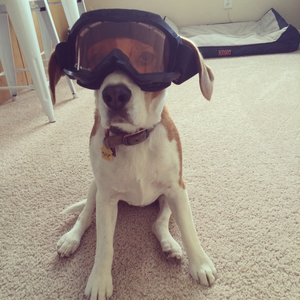 andruffwoody
