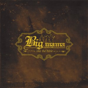 Image for 'Like the Bible'