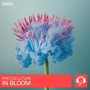 Image for 'In Bloom'