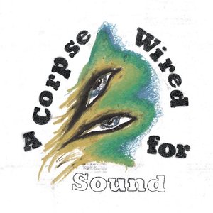 Image for 'A Corpse Wired For Sound'