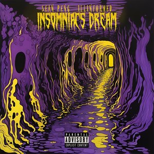 “Insomniacs Dream”的封面