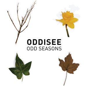 Image for 'Odd Seasons'