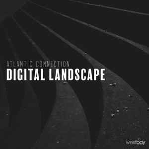 Image for 'Digital Landscape'