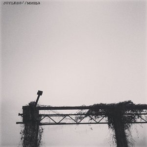 “Joyless”的封面