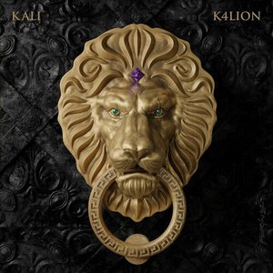 Image pour 'K4LION'