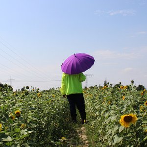 Zdjęcia dla 'Dorian Grau'