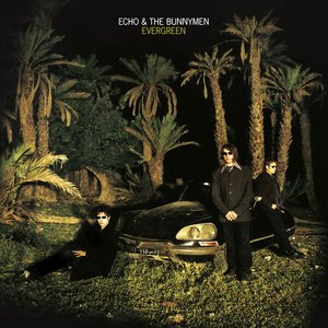 Image for 'Evergreen (25 Year Anniversary Edition)'