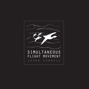 Image for 'Simultaneous Flight Movement'