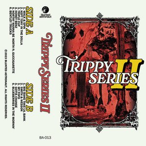 “Trippy Series II”的封面