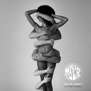 Bild für 'In My Arms (feat. Jamie N Commons)'